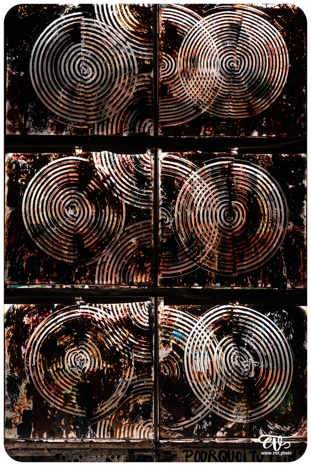 TMTPHOTO LA TORTUE DE GAUGUIN 074